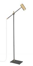 ECOM Only 814FL-MB-OBR - 1 Light Floor Lamp