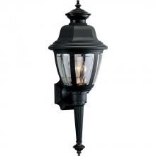 Progress P5738-31 - Non-Metallic Incandescent One-Light Wall Lantern