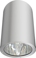 Dabmar DW3760-AL - CEILING DOWN LIGHT INCAND PAR38 120V