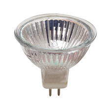 Flood Bulbs