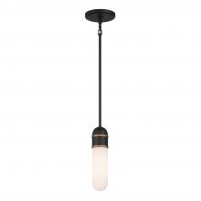 Crystorama CAP-8511-MK-TG - Brian Patrick Flynn Capsule 1 Light LED Matte Black + Textured Gold Mini Pendant