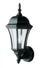 Trans Globe 4502 BK - Burlington 1-Light Armed Metal and Glass Outdoor Wall Lantern