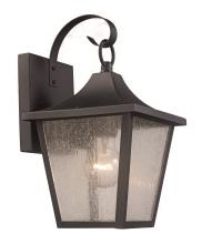 Trans Globe 50930 BK - Rasmussen 1-Light Seeded Glass Armed Wall Lantern