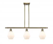 Innovations Lighting 516-3I-AB-G651-6 - Cindyrella - 3 Light - 36 inch - Antique Brass - Cord hung - Island Light