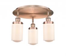  916-3C-AC-G311 - Dover - 3 Light - 16 inch - Antique Copper - Flush Mount