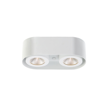 Eurofase 33617-015 - Nymark, 2LT LED Surface Mnt, Wht