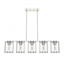 Hunter 19955 - Astwood 5 Light Linear Chandelier Polished Nickel