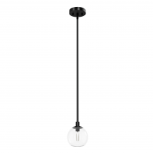 Hunter 19508 - Hunter Xidane Matte Black with Clear Glass 1 Light Pendant Ceiling Light Fixture