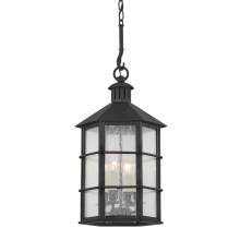 Troy F2526-FRN - Lake County Lantern