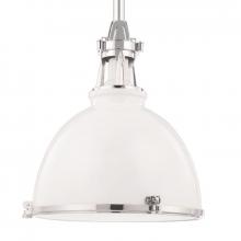 Hudson Valley 4614-WPN - 1 LIGHT PENDANT