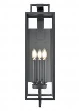 Millennium 280003-TBK - Outdoor Wall Sconce