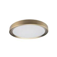 Dainolite FYN-1224LEDFH-AGB - 24W Flushmount, AGB  w/ WH Diffuser