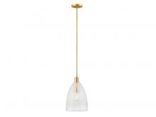 Savoy House Meridian M7051NB - 1-Light Pendant in Natural Brass