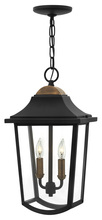 Hinkley 1972BK - Medium Hanging Lantern